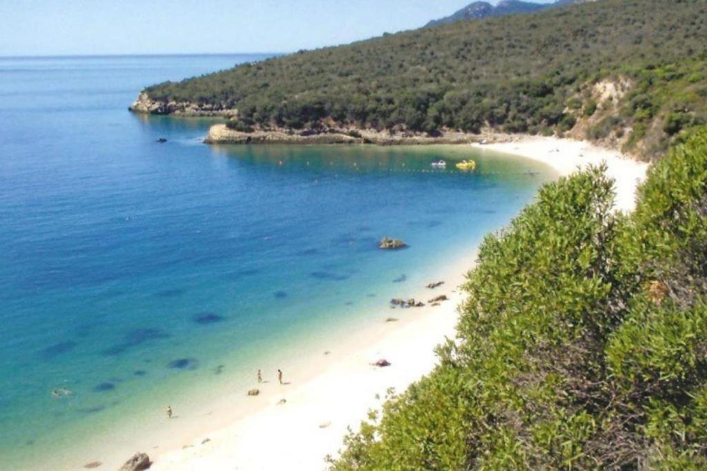 Concha Setubal Miradouro公寓 外观 照片